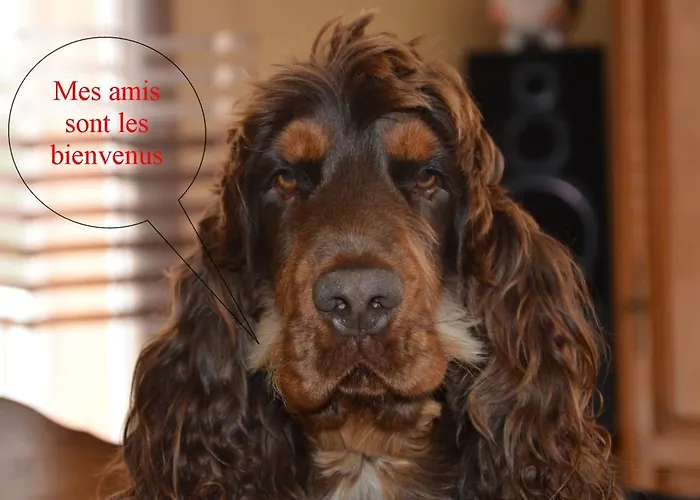 Le Picors Lägenhet *