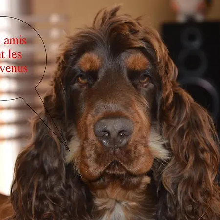 Le Picors Appartamento *